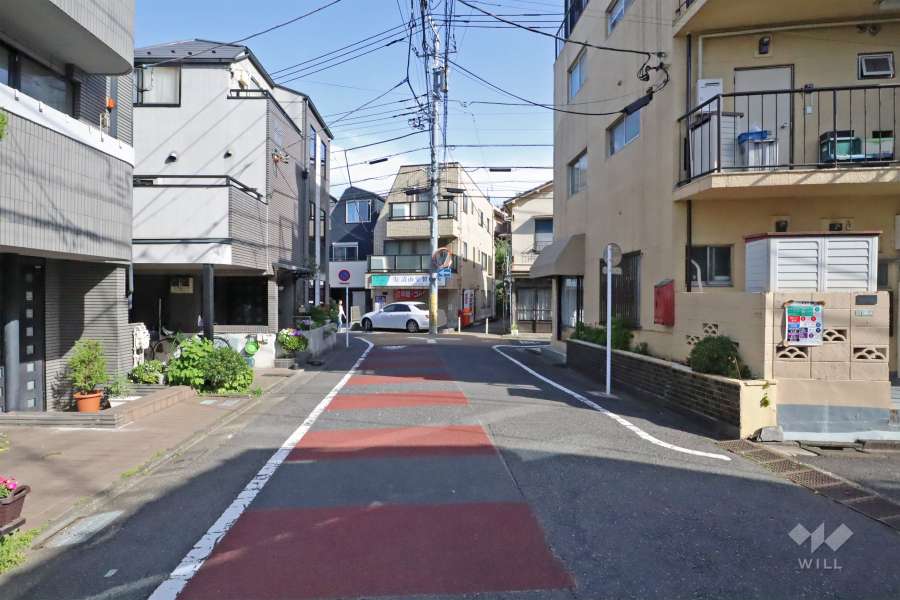敷地東側の前面道路(北側から)