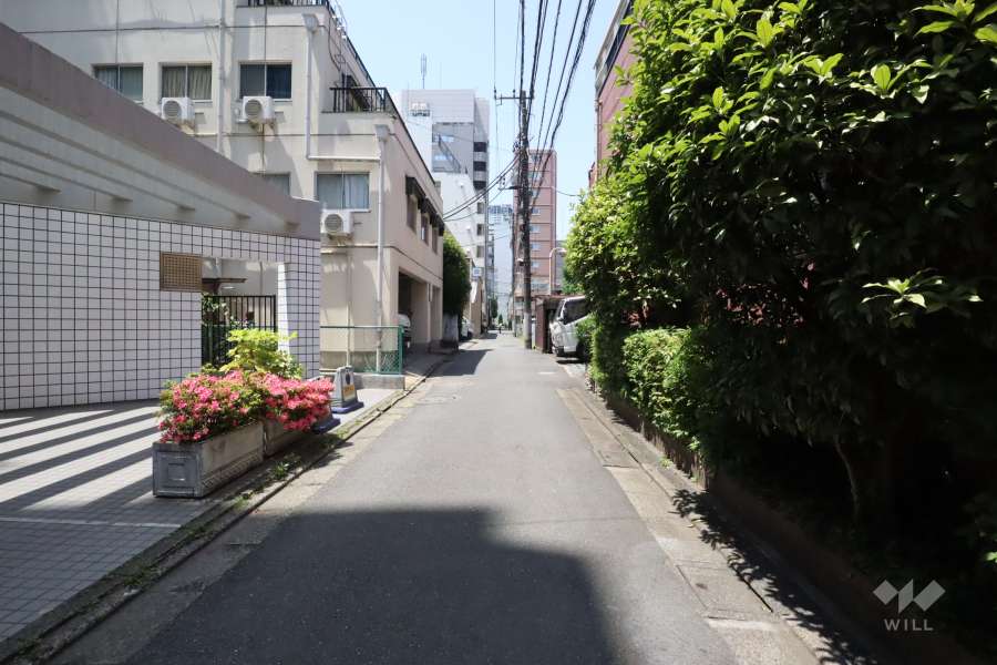 敷地北東側の前面道路（南東側から)