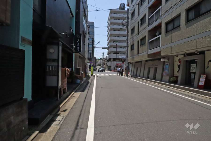 敷地南東側の前面道路(南西側から)