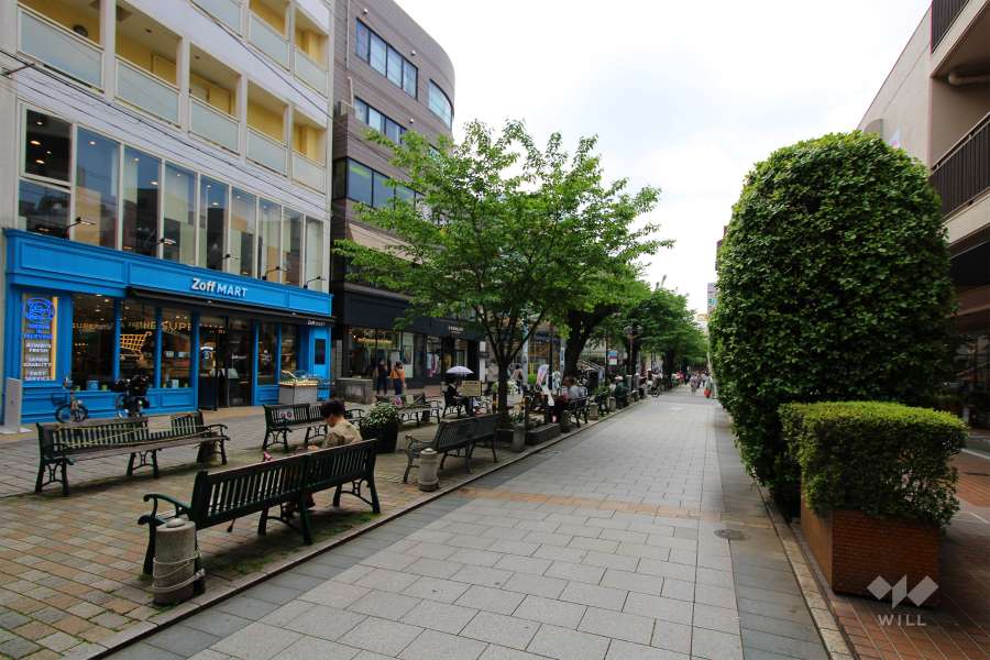 敷地南東側の前面道路（北東側から）