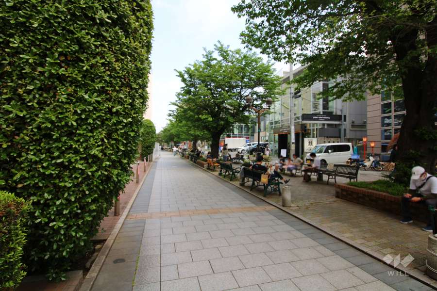 敷地南東側の前面道路（南西側から）