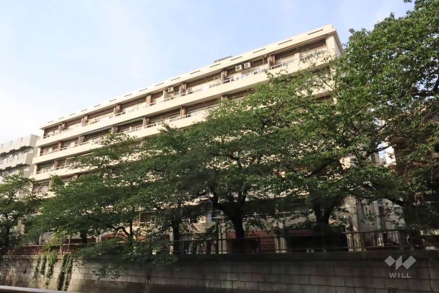 中目黒マンションの外観(南側から)