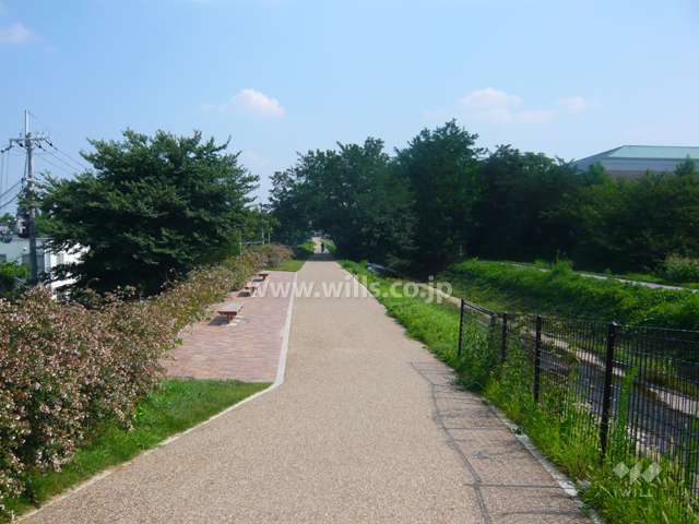 敷地の西側を流れる天王寺川沿いの遊歩道
