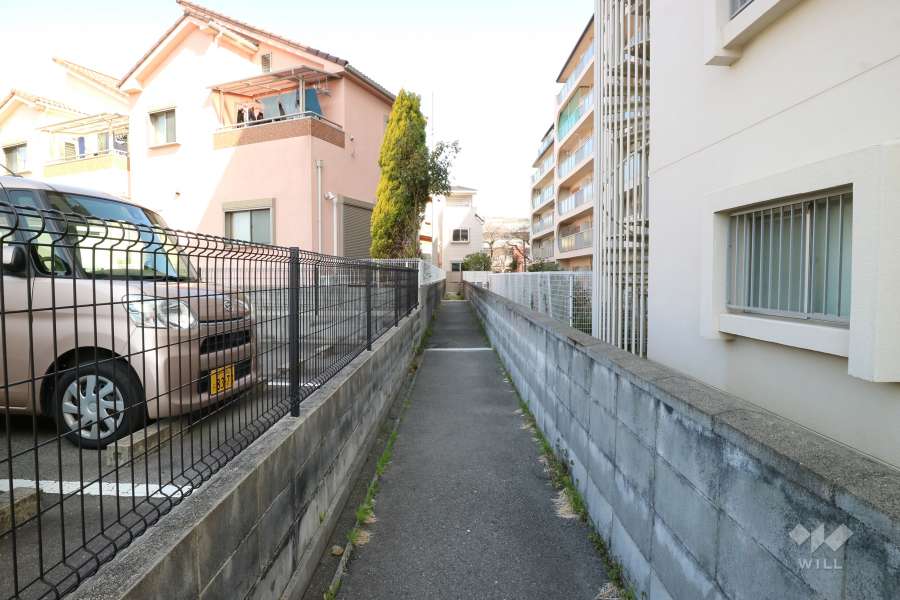 敷地西側の通路