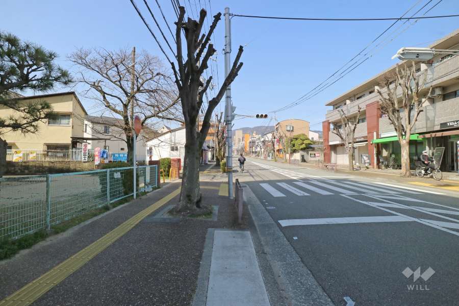 敷地北側の前面道路（市役所通り）
