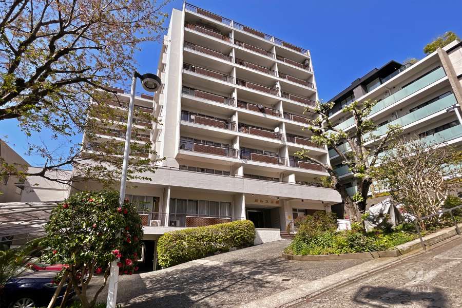 パレス三條の外観（南西側から）