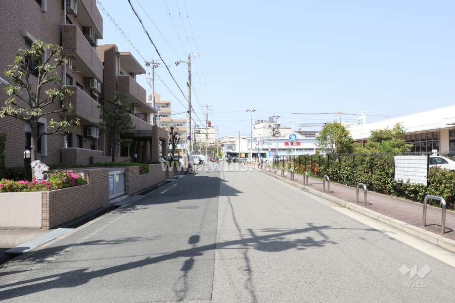 敷地東側の前面道路