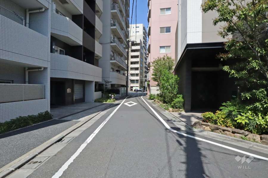 敷地南東側の前面道路（南西側から）