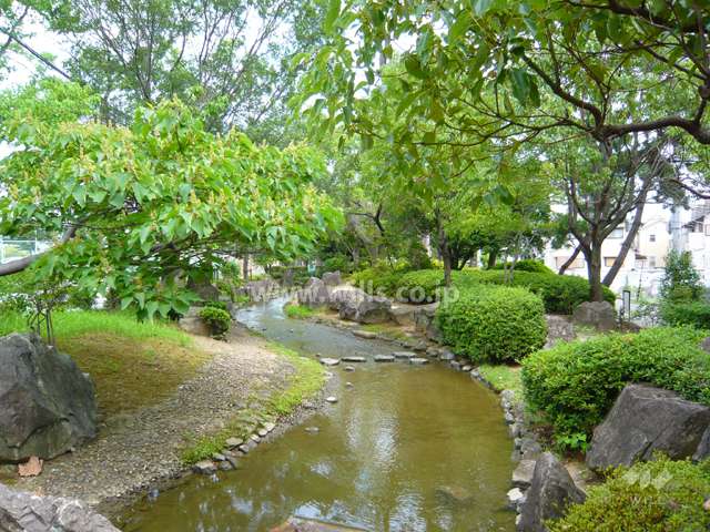 敷地西側に隣接する瑞穂緑地