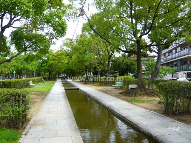 瑞穂緑地にはベンチや遊歩道が整備され、お散歩コースにも最適です。