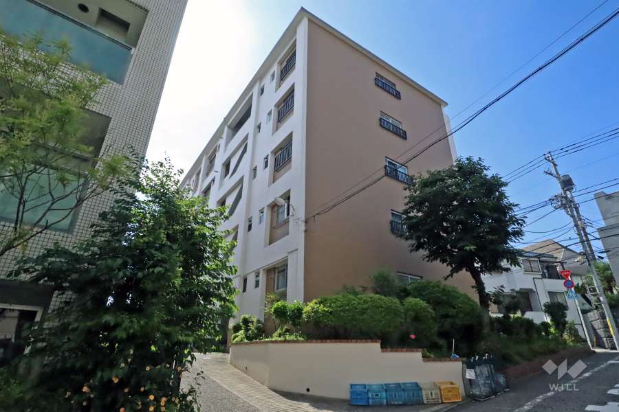 中銀東山マンシオンの外観（北西側から）