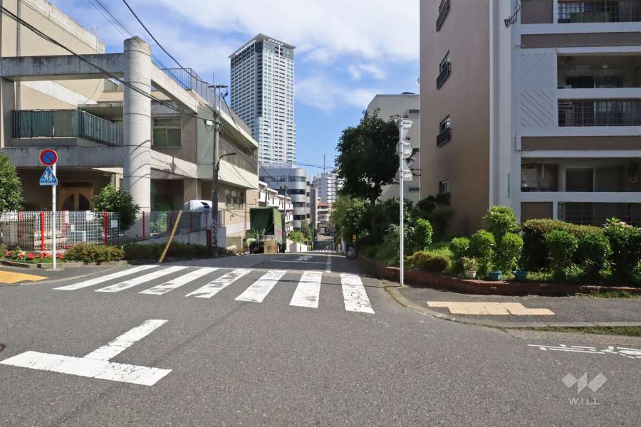 敷地西側の前面道路(南側から)