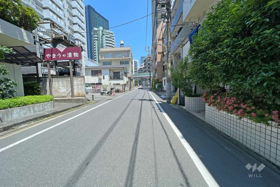 敷地北西の前面道路（南東側から）