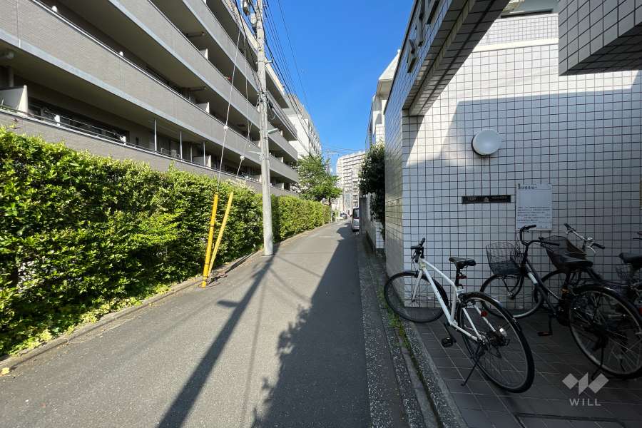 敷地北側の前面道路（西側から）