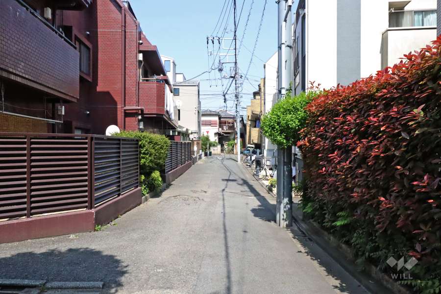 敷地南側の前面道路(西側から)