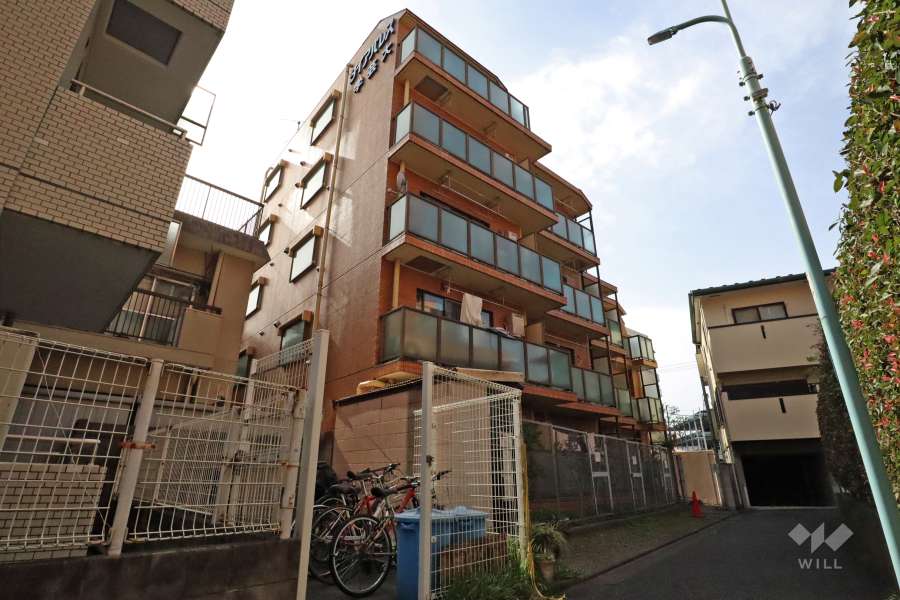 ダイアパレス学芸大の外観(南東側から)