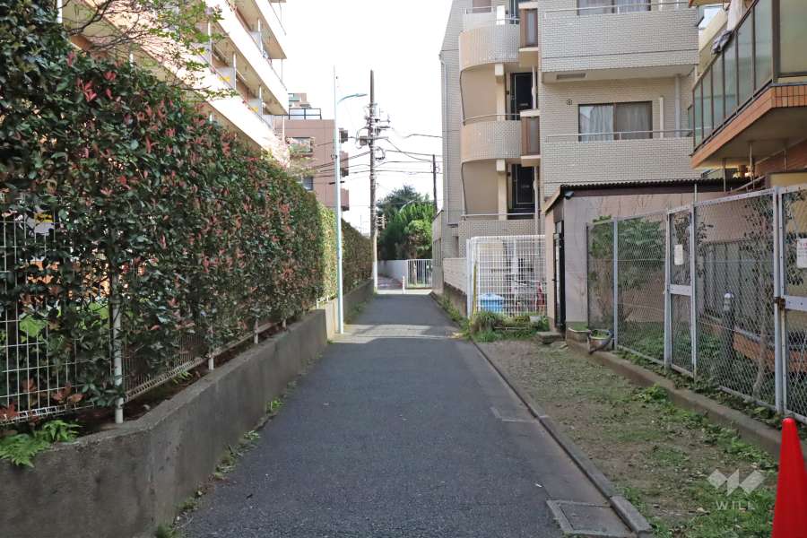 敷地東側の前面道路(北側から)