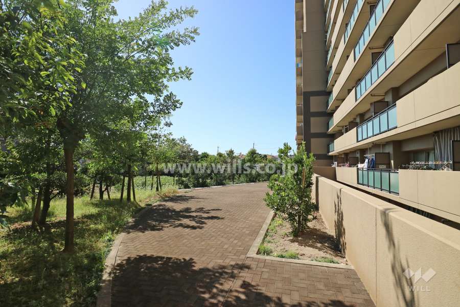 敷地内の各所に植栽スペースが設けられています。