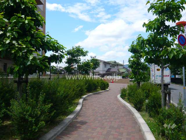 敷地内の各所に植栽スペースが設けられています。