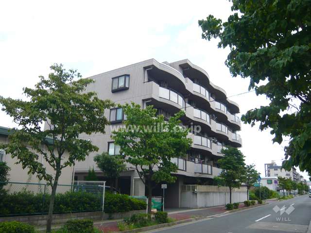 外観（北西側から）
