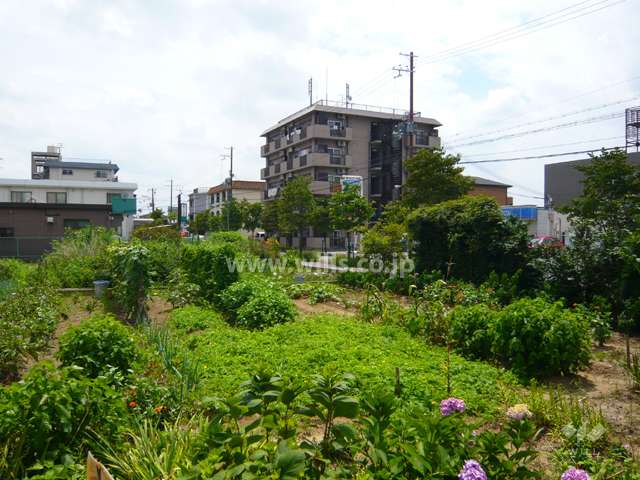 敷地の南側には畑が広がっています