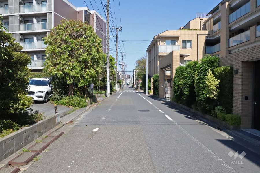 敷地北側の前面道路（西側から）