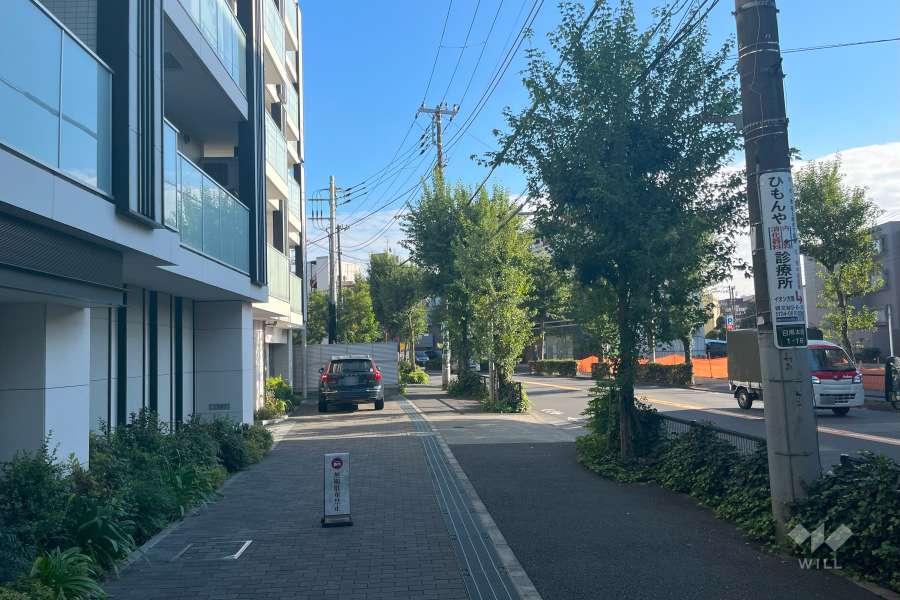 敷地西側の前面道路（北側から）