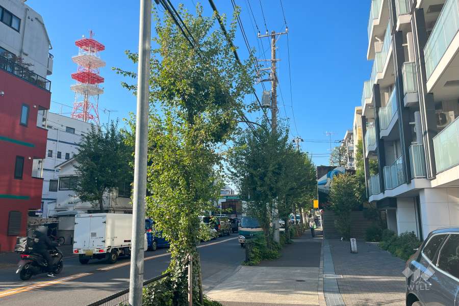 敷地西側の前面道路（南側から）