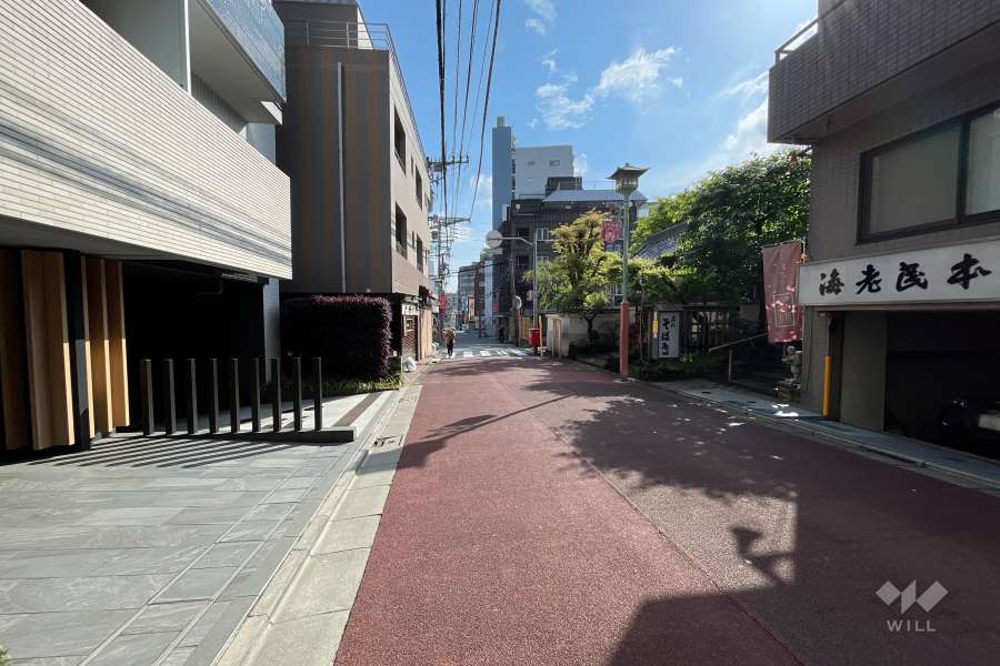 敷地南東側の前面道路（南西側から）