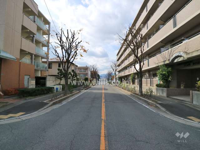 物件の南側前面道路(東側から)