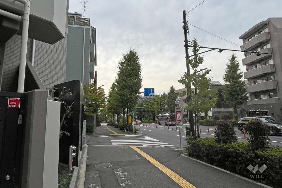 敷地北側の前面道路（東側から）