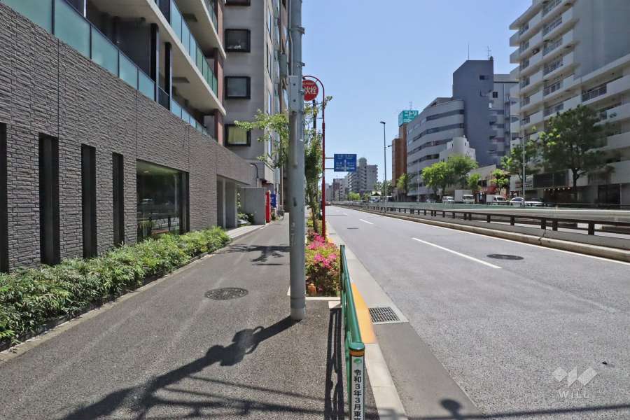 敷地南西側前面道路(南東側から)