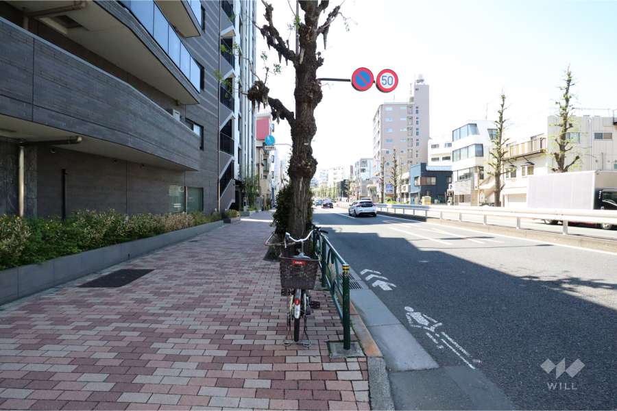 敷地北西側の前面道路(北東側から)