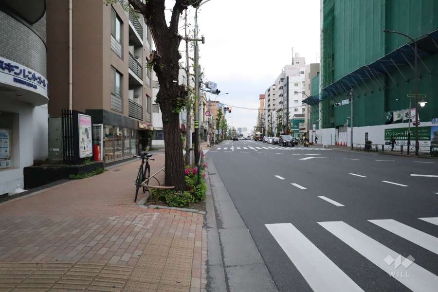 敷地南側の前面道路(西側から)