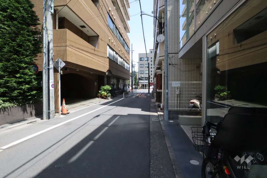 敷地南東側の前面道路(南西側から)