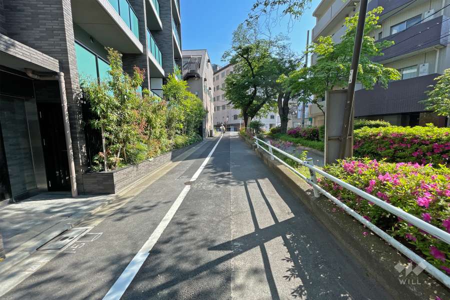 敷地西側の前面道路（北側から）