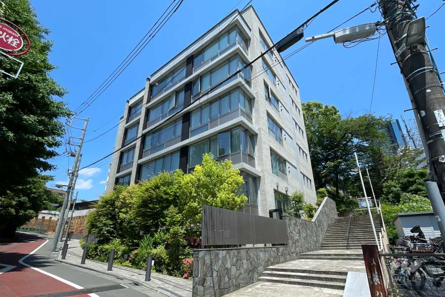 ローレルアイ目黒大橋ザテラスの遠景