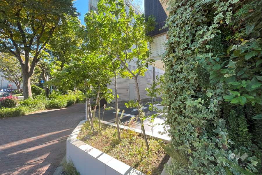 敷地内の各所に植栽スペースが設けられています。