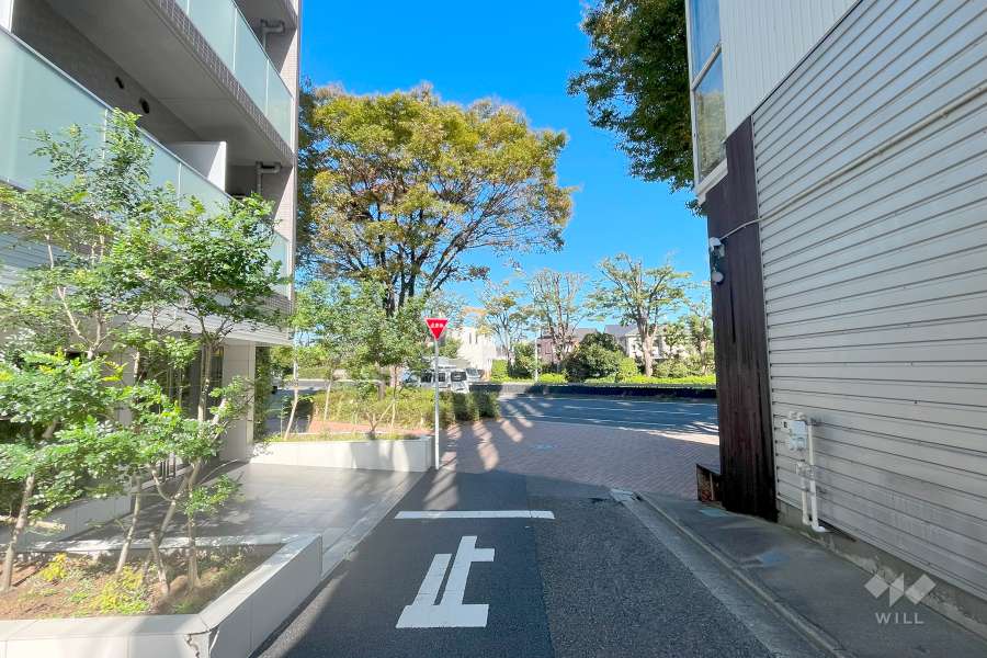 敷地東側の前面道路（南側から）