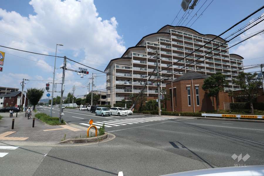 敷地の西側はバス通りに面しています。