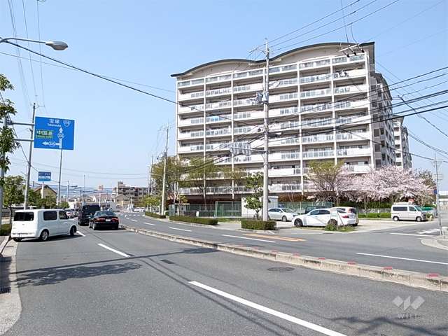 敷地の西側はバス通りに面しています。