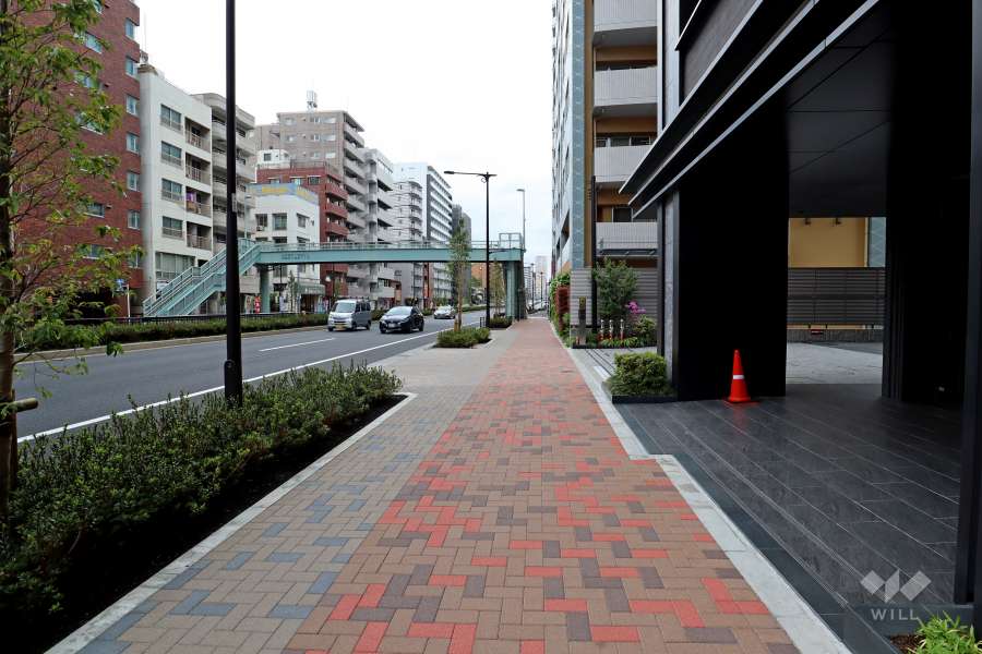 敷地西側の前面道路（南側から）