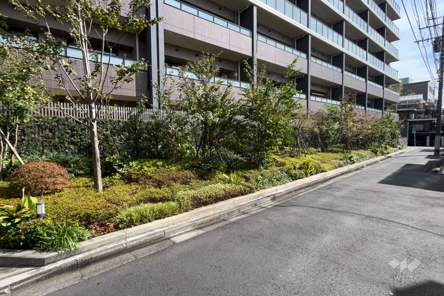 敷地の南西側前面道路（北西側から）