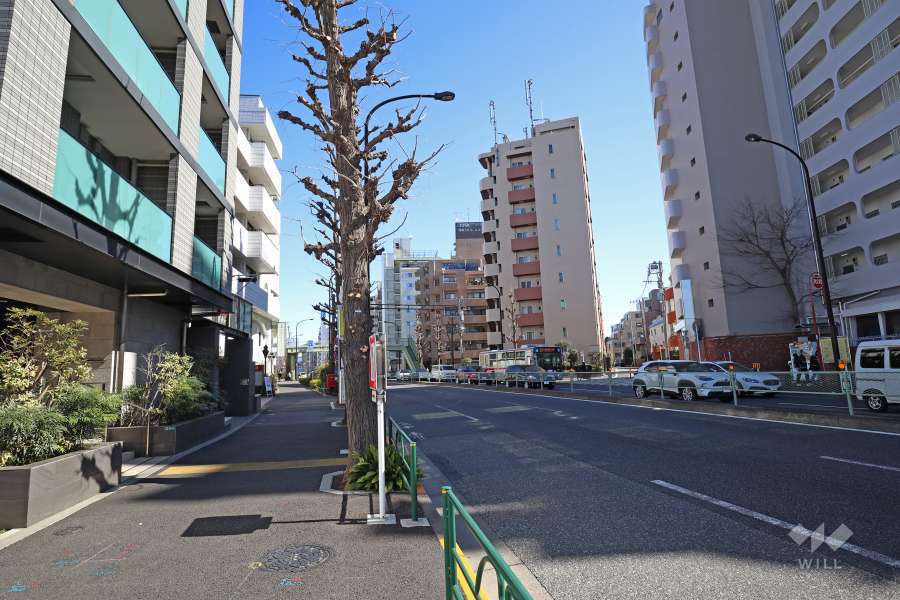敷地南東側の前面道路（南西側から）