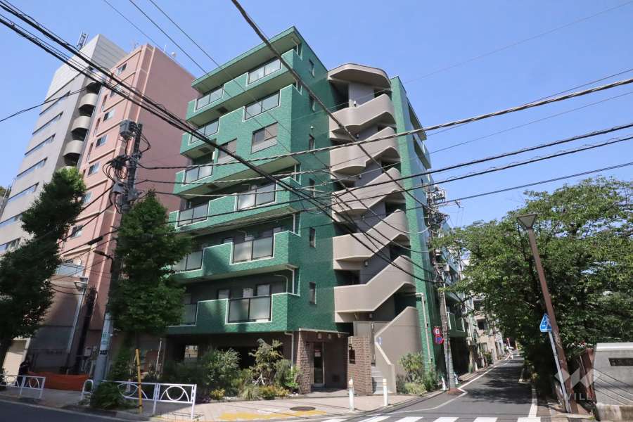 マンションの外観(南東側から)