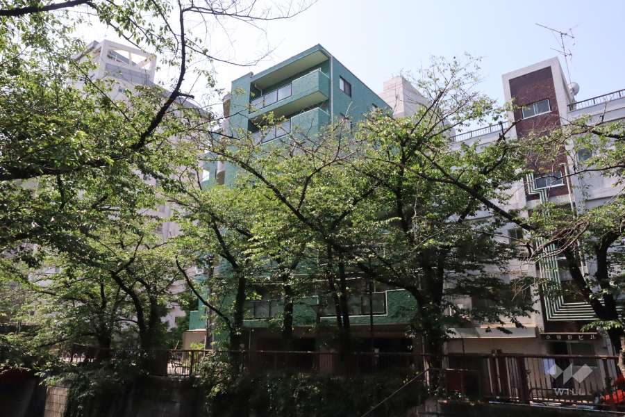 マンションの外観(北東側から)