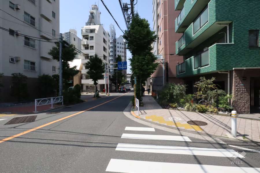 敷地南東側の前面道路(野沢通り・北東側から)