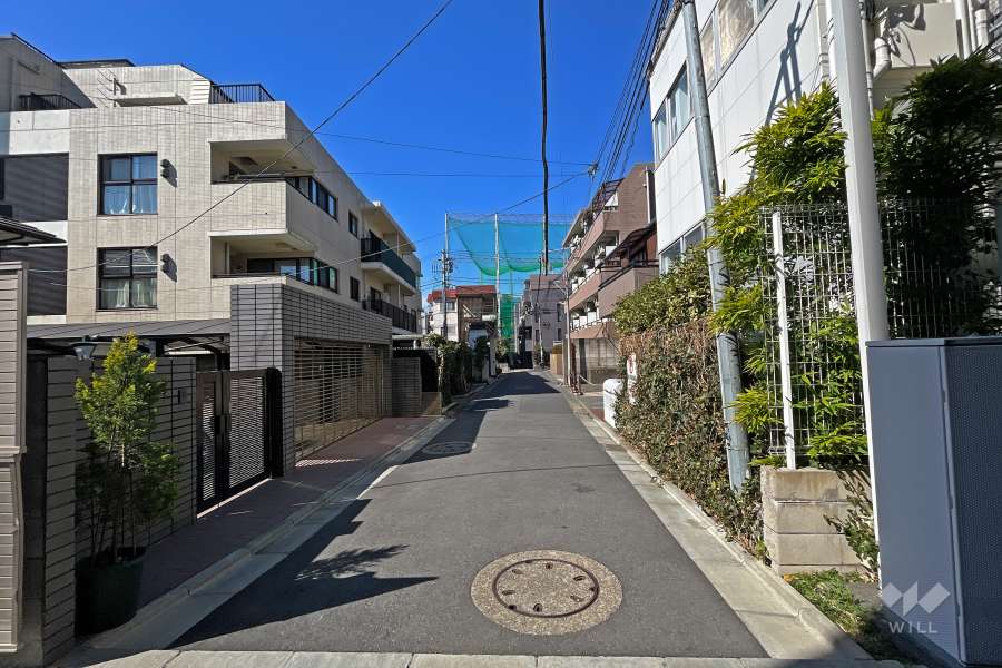 敷地西側の前面道路（西側から）