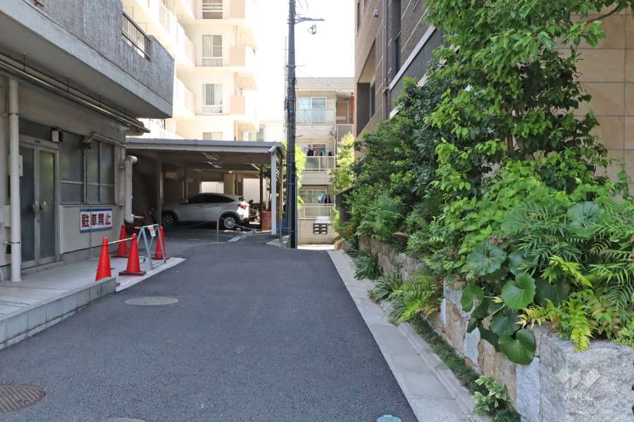 敷地北西側の前面道路（南西側から）