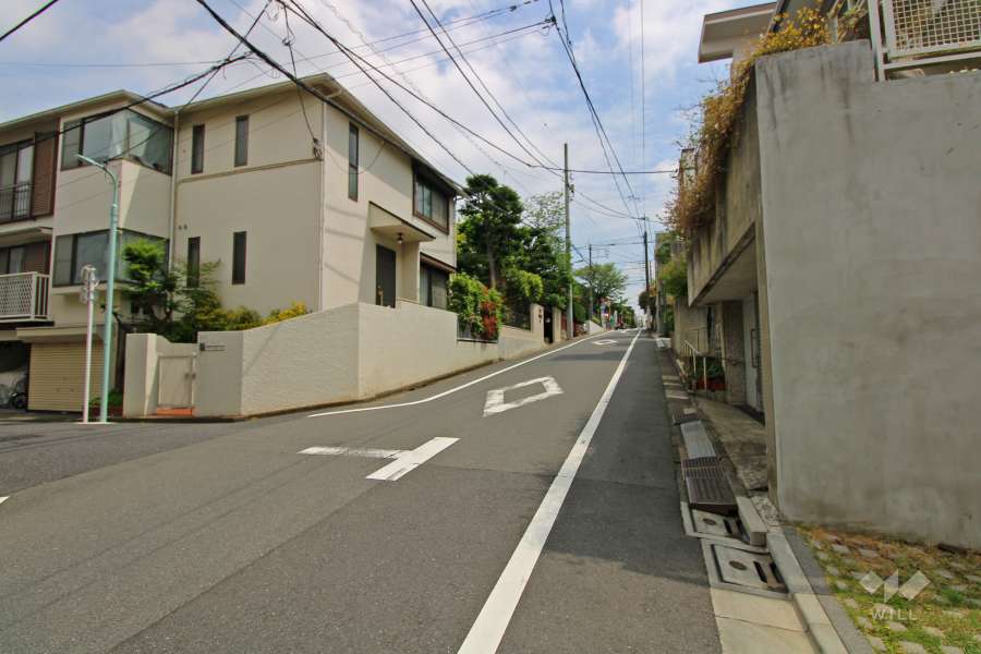 敷地北側の前面道路（西側から）